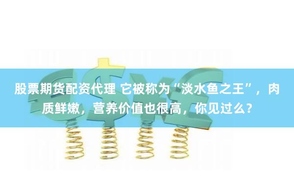 股票期货配资代理 它被称为“淡水鱼之王”，肉质鲜嫩，营养价值也很高，你见过么？