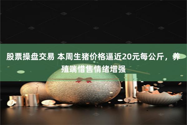 股票操盘交易 本周生猪价格逼近20元每公斤，养殖端惜售情绪增强