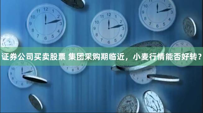 证券公司买卖股票 集团采购期临近，小麦行情能否好转？