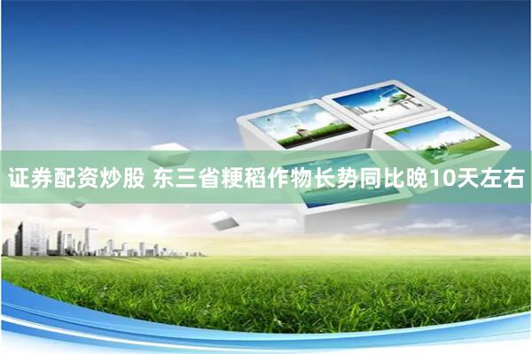 证券配资炒股 东三省粳稻作物长势同比晚10天左右