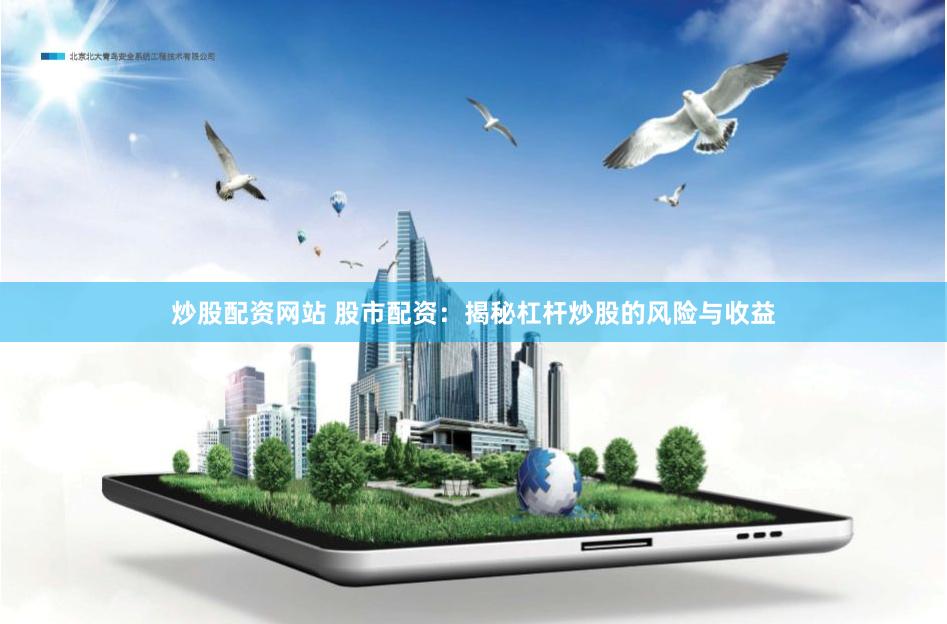 炒股配资网站 股市配资：揭秘杠杆炒股的风险与收益